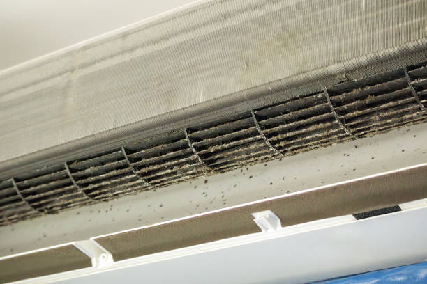 Best Best Air Duct Cleaning Company  in Shannon, GA