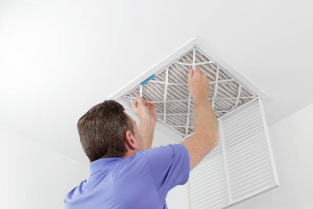 Best Professional Duct Cleaning Services  in Shannon, GA